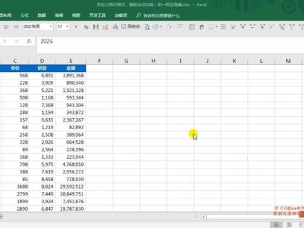 Excel或WPS自定义格式的显示与真实,表里不一,一招全隐藏 #excel技巧 #office办公技巧