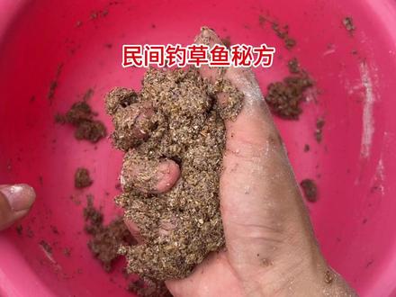 古老民间钓草鱼秘方,草鱼吃完直接狂口#钓鱼 #爆护饵料 #饵料搭配 #饵料添加剂 #钓草鱼