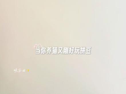 🐈是谁还没拥有猫猫拼豆⁉️ #拼豆只有零次和无数次 #抖音第0届拼豆大赛 #周末丰容计划 #拼豆 #万物皆可毛茸茸制作教程