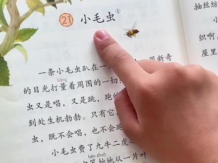 二年级语文下册21《小毛虫》#二年级#小学语文#课文朗读