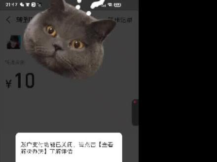 支付宝耍大牌?收到一笔一万多的转账,直接冻结支付宝 14天不能转账提现 支付宝不能用了#支付宝冻结 #支付宝无法转账提现