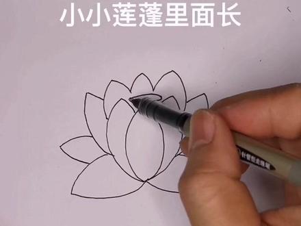 在家教宝宝画荷花,你学会了吗?#教宝宝画简笔画 #简笔画 #画画教程