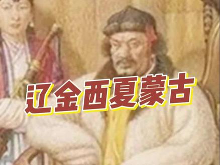 宋明资本八 #历史 #宋朝#金国#蒙古#清朝