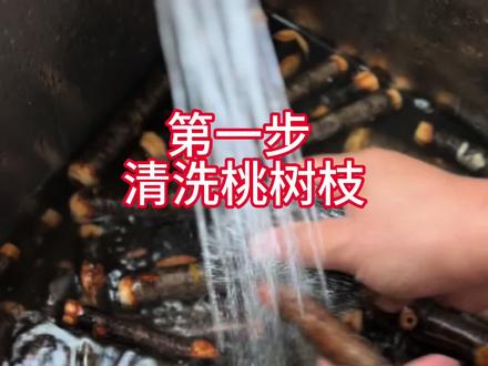 跟着自己动手制作桃树枝 东南桃木,#桃树枝#好物 #手工