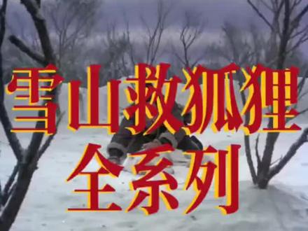 救狐狸大全,一次看个够😂😁