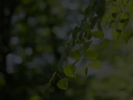 适合早上收听的轻音乐,唤醒大脑,激活身体运动机制,能量增强