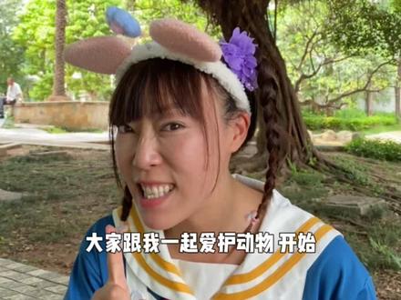 一起来照顾流浪猫吧,它们太难了~#公益创意季 #它的流动小摊