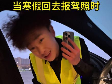 做假账这一块/.#大学生#寒假 #驾照 #大学生放假后的现状