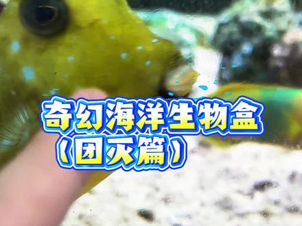 服了,差点团灭了! #诺亚方缸