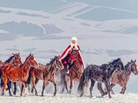 贺娇龙坠马原因披露!她曾说“想抱一抱停不下来的自己” #贺娇龙 #贺娇龙坠马细节及最后抢救过程披露