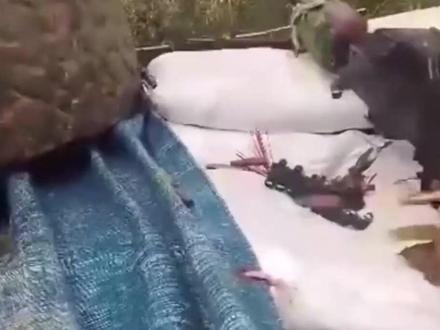 除了战败认输,已经无路可走?洪森军队遭重创:柬埔寨或爆发内乱#全球创作者计划 #零基础看懂全球