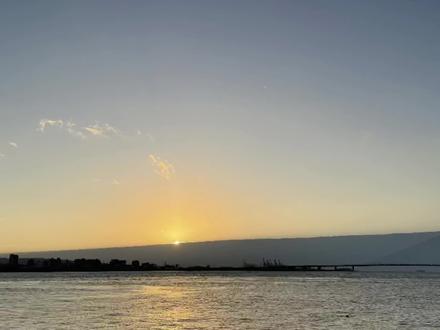 程凛本来去偷猫,结果变成了突击检查😂#于是麦麦决定离家出走#猫耳FM