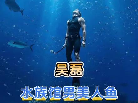 这才是我去水族馆想看的npc互动#吴磊#骑有此理#吴磊水族馆男美人鱼