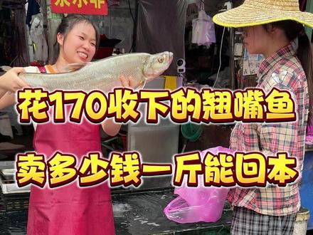 花170收下的翘嘴鱼,卖多少钱一斤能回本 #杀鱼技术 #厨房菜刀 #翘嘴 #菜市场