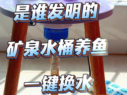 矿泉水桶废物利用,改造生态鱼缸! #生态鱼缸#新手养鱼#养鱼日记#矿泉水桶养鱼#矿泉水瓶养鱼