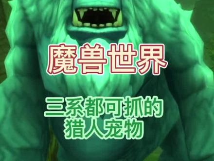 魔兽世界三系天赋猎人都可抓的狂野宠物-乌卡洛克-持续更新中#游戏精彩时刻 #魔兽世界 #特效 #一起玩游戏 #新手必看 #游戏日常 #怀旧游戏 #wow #嗜血 #实用 #猩猩#经典游戏 #魔兽青春 #暴雪