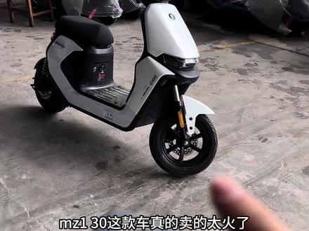 想买九号mz1 30的兄弟们,先看完再下单! #九号真智能 #九号电动车 #九号mz1