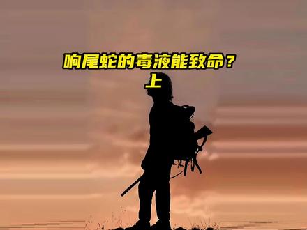 一定要看到最后,响尾蛇的毒液到底有多致命?#蛇 #响尾蛇 #野生动物零距离 #动物世界 @DOU+小助手