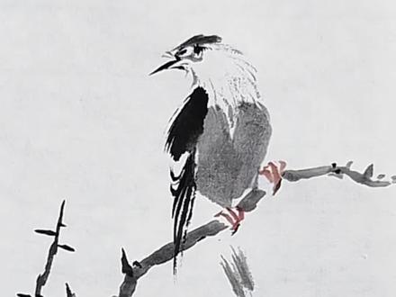 水墨小鸟画法有技巧 水墨小鸟画法注意四点:1用笔有松紧,2墨色有变化,3.动态要夸张,4.比例要合适#国画 #国画教程 #写意花鸟 #鸟画法