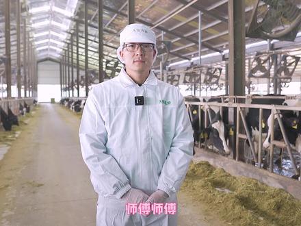 #无锡 #科普一下 #奶牛 耳朵上的编号是他的身份证