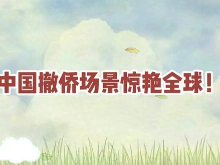 中国撤侨场景,把外国士兵看呆:这不是撤离,简直像一场阅兵仪式