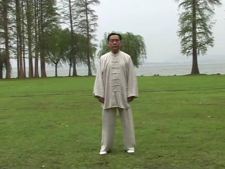 赵幼斌老师完整演练杨式85式太极拳