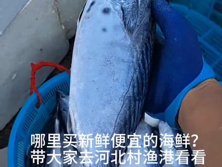 哪里有便宜新鲜的海鲜?来,跟着我去看看