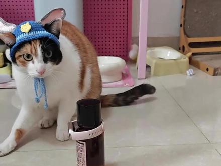 网络人物志第123期:超级无敌大开门 @超级无敌大开门 #人物志 #抽象 #我和我的猫 #萝卜纸巾