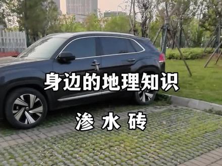 身边的地理知识--渗水砖#身边的地理知识 #地理 #高中地理