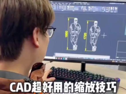 CAD缩放技巧 #CAD