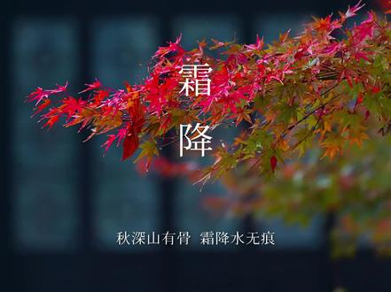 霜降,是24节气中的第18个节气,秋季的最后一个节气。此时天气愈发寒冷,露水凝结成霜,故为“霜降”。民间有赏菊、吃柿子、登高远眺、进补等习俗。#廿四节气 #霜降 #东方美学 #传统文化 #诗意生活美学