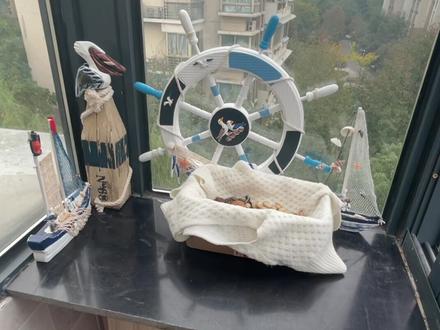 做了小#松鼠 的窝,冬天快到了,这个窝很温暖,希望它来吃东西的时候可以顺便躺一会儿