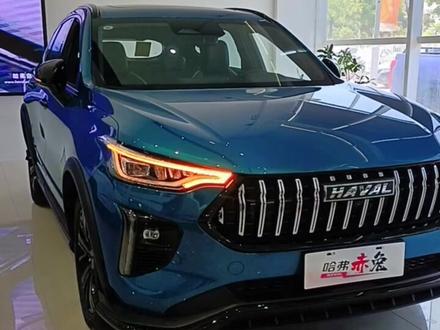 哈弗赤兔如何远程启动空调#每天一个用车知识 #撸车日常 #全dou是靓车