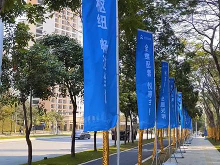光明人才房安居凤桐苑,不推荐!