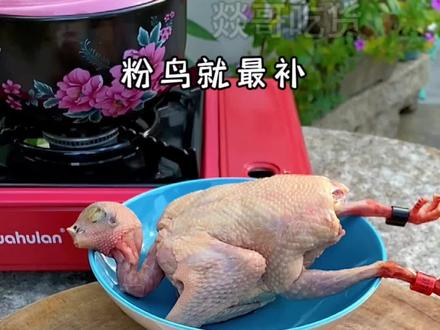 立冬进补,一鸽当九鸡#爱生活爱美食 #有食有补无食空心肚 #煲靓汤