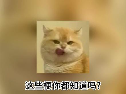 落梗5天!紧急科普近期热梗#科普 #落梗5天