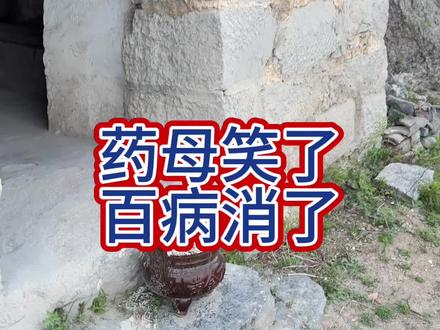 来了就好好了再来,药母笑了百病消了#药母 #尊重传统文化