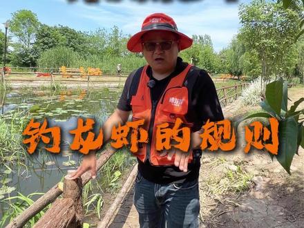 股东们的建议我都收到了,正在快马加鞭的解决咯,首先就是大家争议最大的钓龙虾#听劝 #亲子游玩好去处 #遛娃好去处 #马鞍山周边游