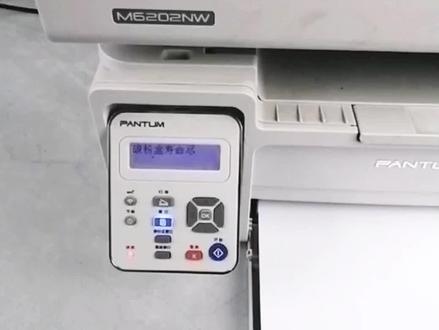 上海普广oahelp奔图6202系列打印机 打印耗材页 查看信息页的方法 #打印机维修 #打印机 #复印机