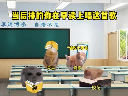 当后排的你在早读时唱这首歌#猫meme #内容过于真实 #万万没想到 #最炫民族风 #伯虎说