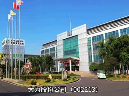 大为股份002213