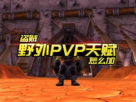 盗贼野外PVP天赋分享#魔兽魔兽世界怀旧服