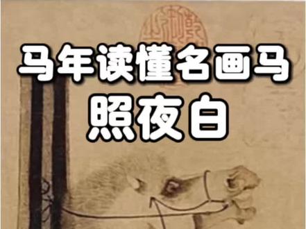 马年读懂名画里的马(1)照夜白 #老舒有画说 #韩干画马 #照夜白 #马年说马