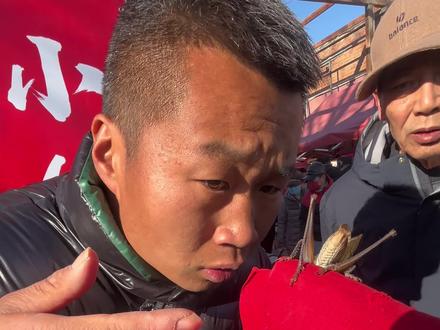 北京哥哥跨越千里来找小伙挑蝈蝈#摆摊 #鸣虫文化