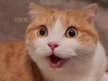 只有一句厄运退退退! #啤酒 #塑包啤酒 #注意安全 #厄运退散