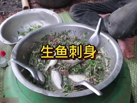 今天越南老表给我们带来的是 生鱼刺身,小鱼不用去掉内脏,蘸上秘制调料,直接一口下去让鱼尾在老表的嘴里疯狂的摇摆#户外美食 #干净又卫生 #生鱼