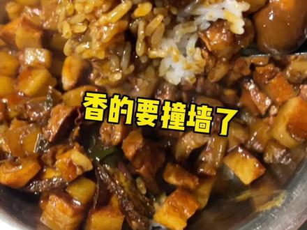 烤牛腿 配鲍鱼海肠卤肉饭 今天口水不间断#是那个 #晴式vlog #东北豪华卤肉饭 #山货上头条 #风味延边