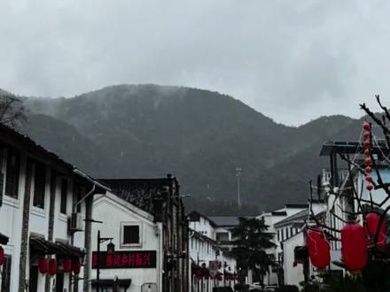 春日限定美食 清明螺蛳#美食教程 #春日美食大赏