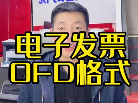 电子发票OFD格式#注册公司记账报税 #电子发票 #OFD #哈尔滨注册公司 #哈尔滨注销