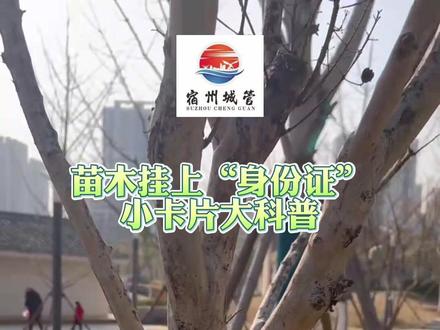 苗木挂上“身份证 小卡片大科普